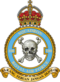 RAF 100 Squadron