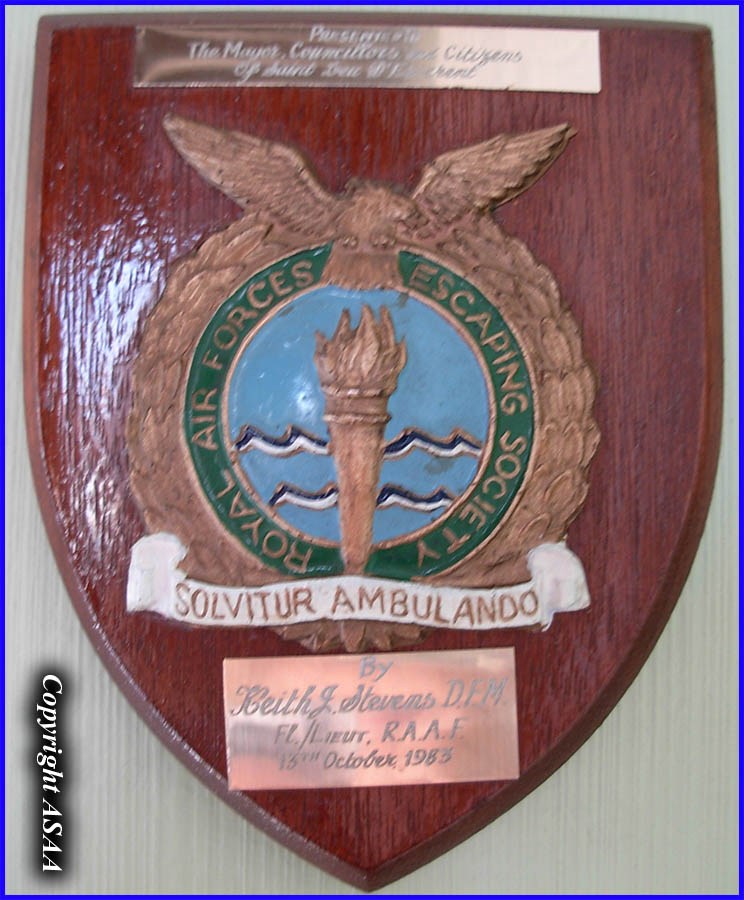 RAF insignia